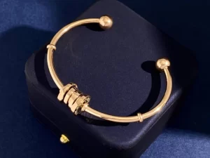 Luxury Bvlgari Classic AAA+ Bracelet